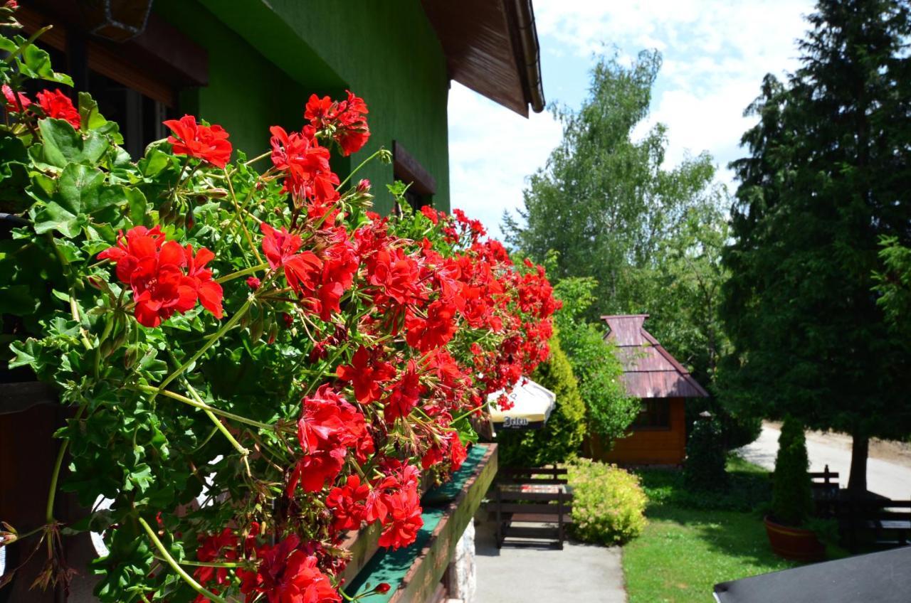 Villa Miris Dunja Zlatibor Exterior photo